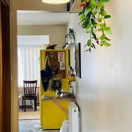 Terrace Flat In The Kadikoy Center